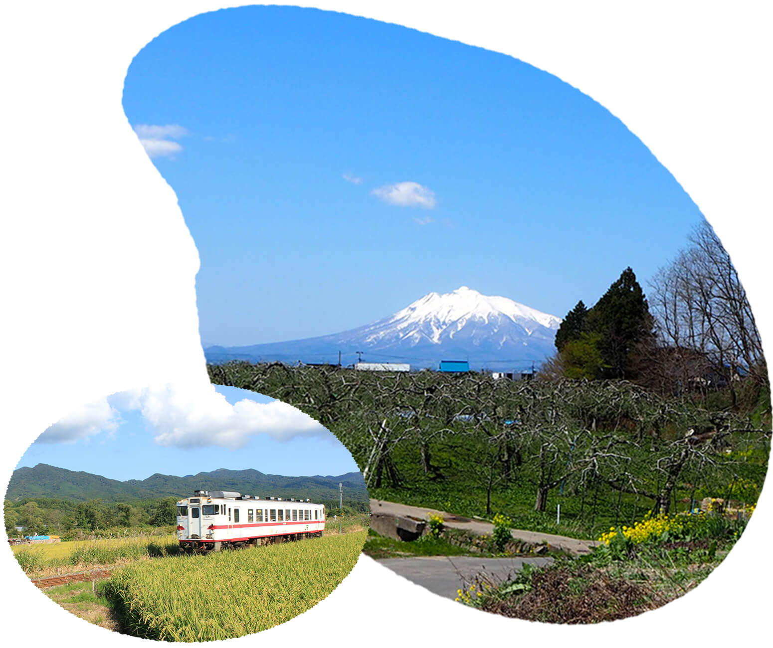 田んぼ風景